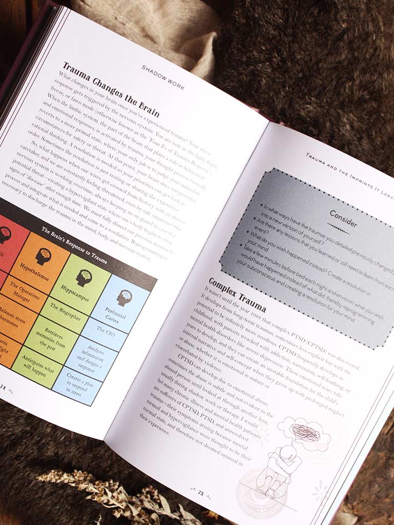 In Focus Shadow Work - Your Personal Guide