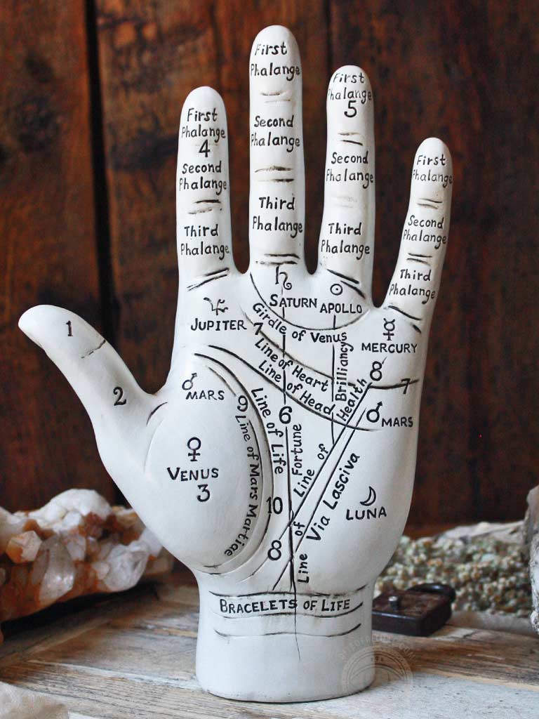 Large Palmistry Hand