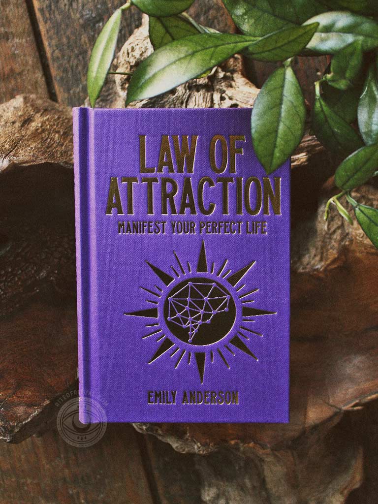 Law of Attraction - Manifest Your Perfect Life