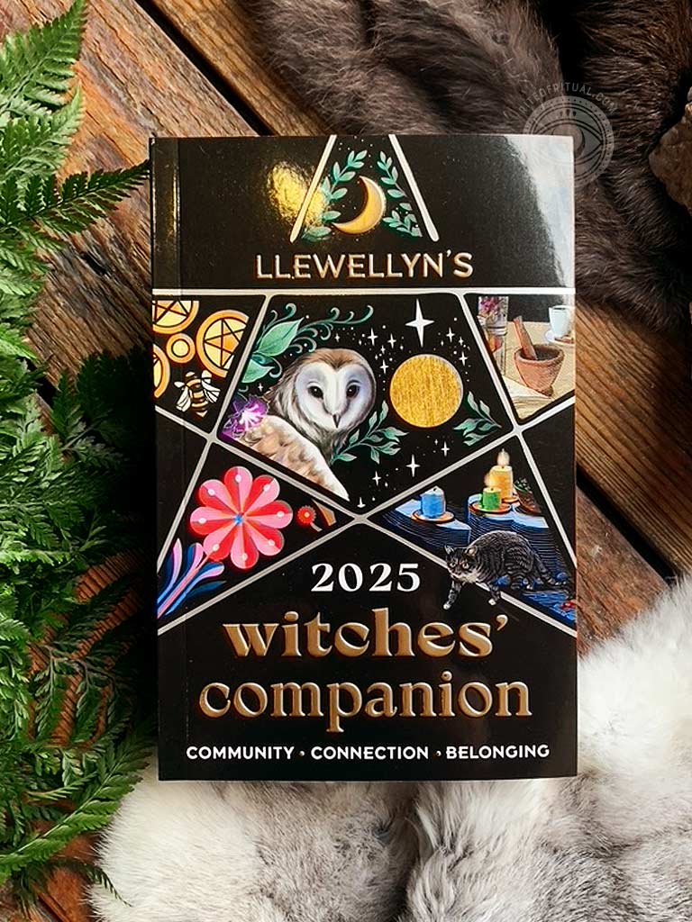 Llewellyn's 2025 Witches' Companion - Community Connection Belonging