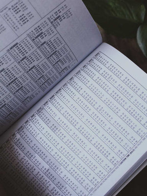 Llewellyn's 2026 Astrological Pocket Planner