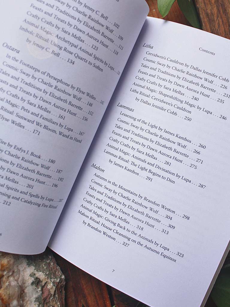 Llewellyn's 2027 Sabbats Almanac - Samhain 2026 to Mabon 2027