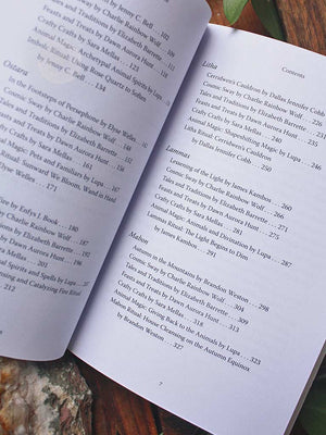 Llewellyn's 2027 Sabbats Almanac - Samhain 2026 to Mabon 2027
