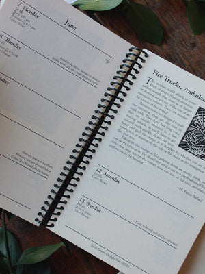 Llewellyn's 2027 Witches' Datebook