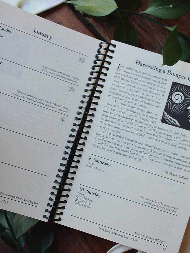 Llewellyn's 2027 Witches' Datebook
