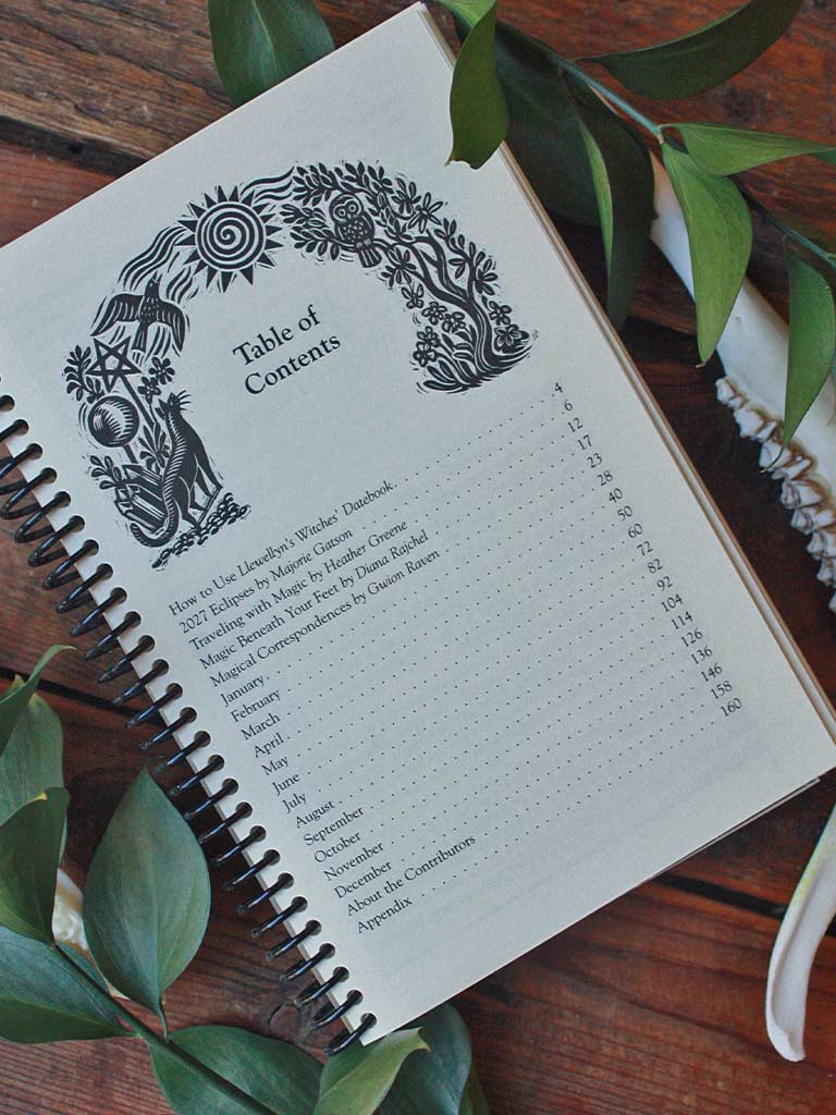 Llewellyn's 2027 Witches' Datebook