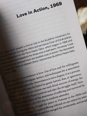 Love in Action - Second Edition - Writings on Nonviolent Social Change