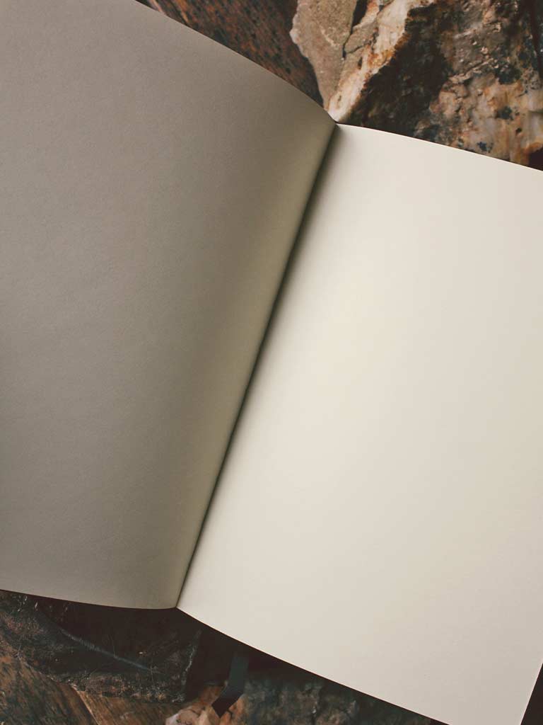 Murder of Crows Journal