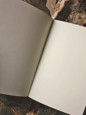 Murder of Crows Journal