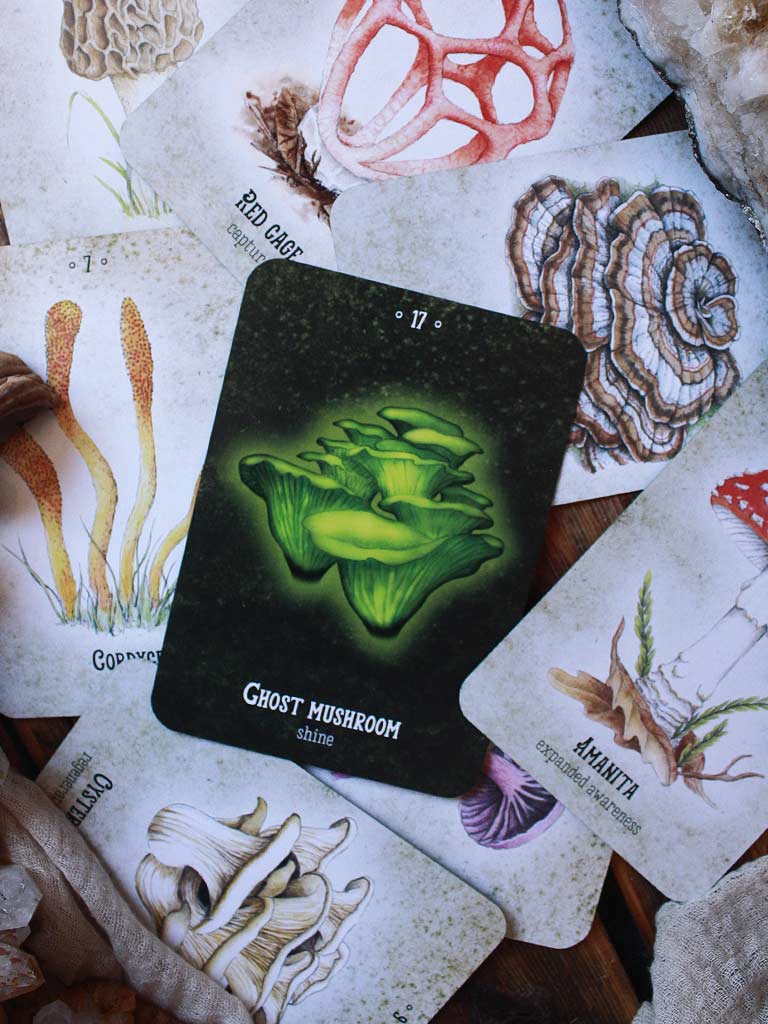Mushroom Spirit Oracle