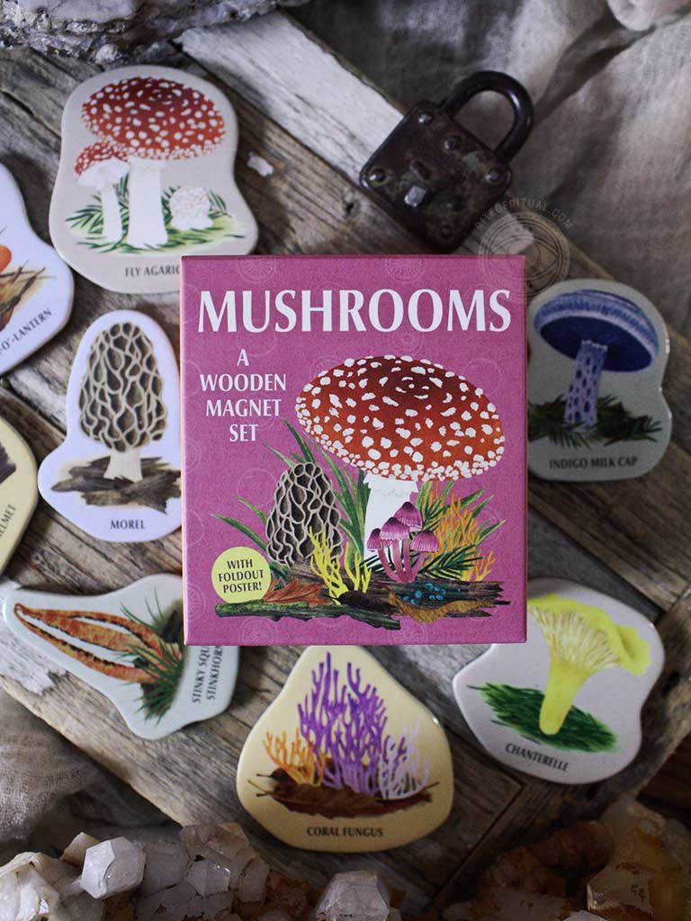 Mushrooms - A Wooden Magnet Set