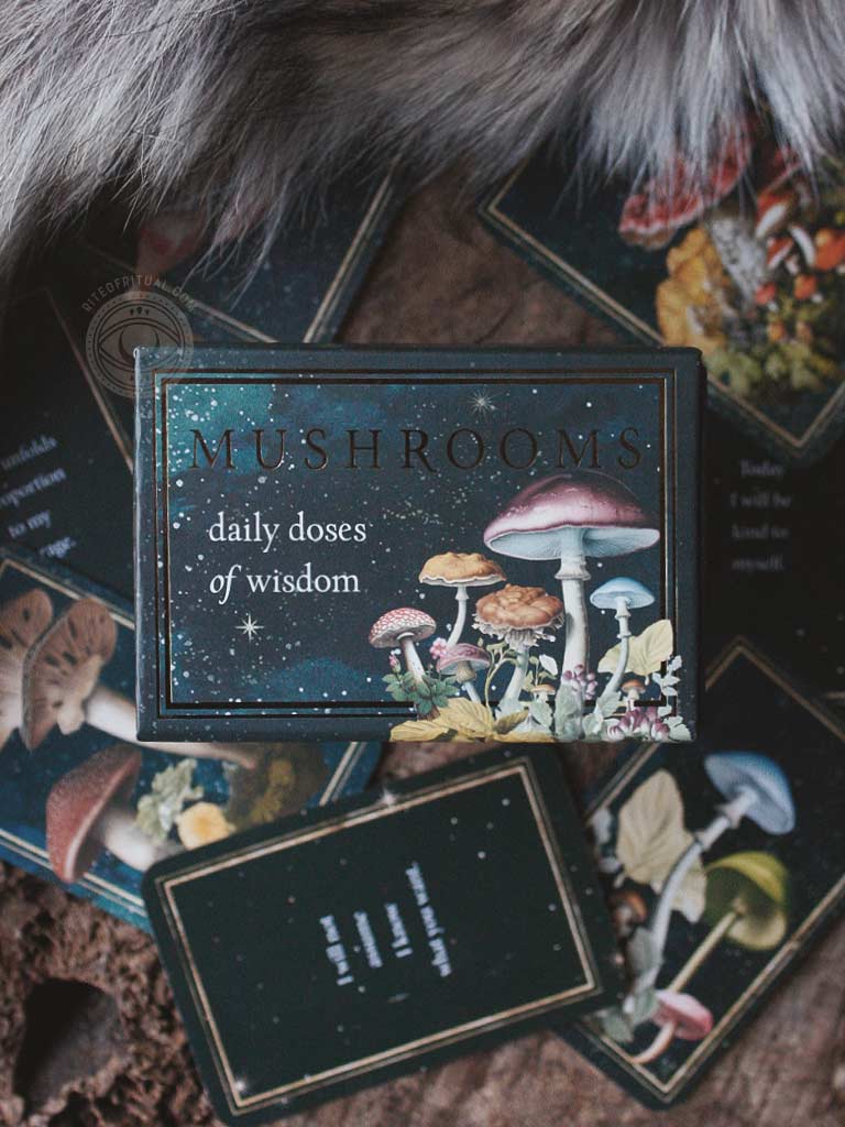 Mushrooms - Daily Doses of Wisdom