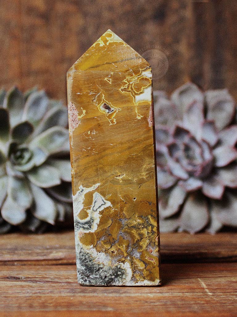 Ocean Jasper Towers