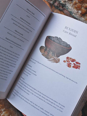 Olfactory Code - Unveiling the Alchemy of Botanical Perfumery