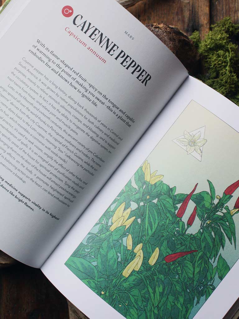 Plant Magic - The Magic Connections of Plants With The Universe