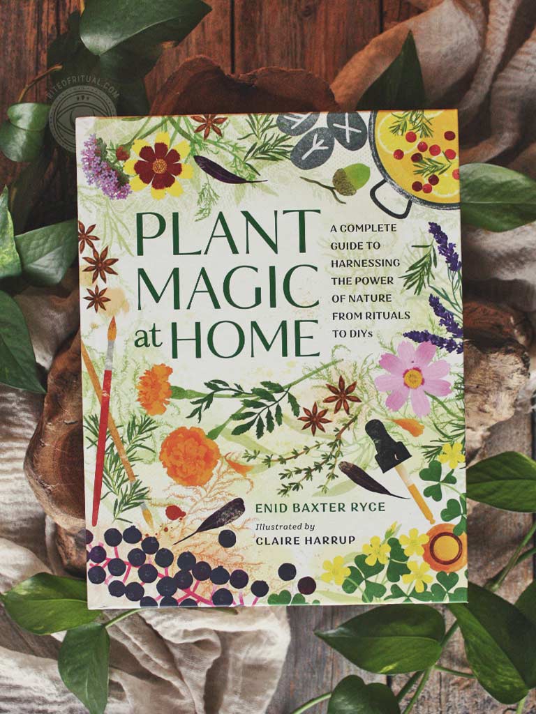 Plant Magic at Home