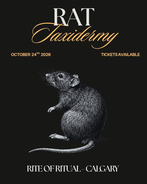 Rat Taxidermy Workshop - Oct 24 2026