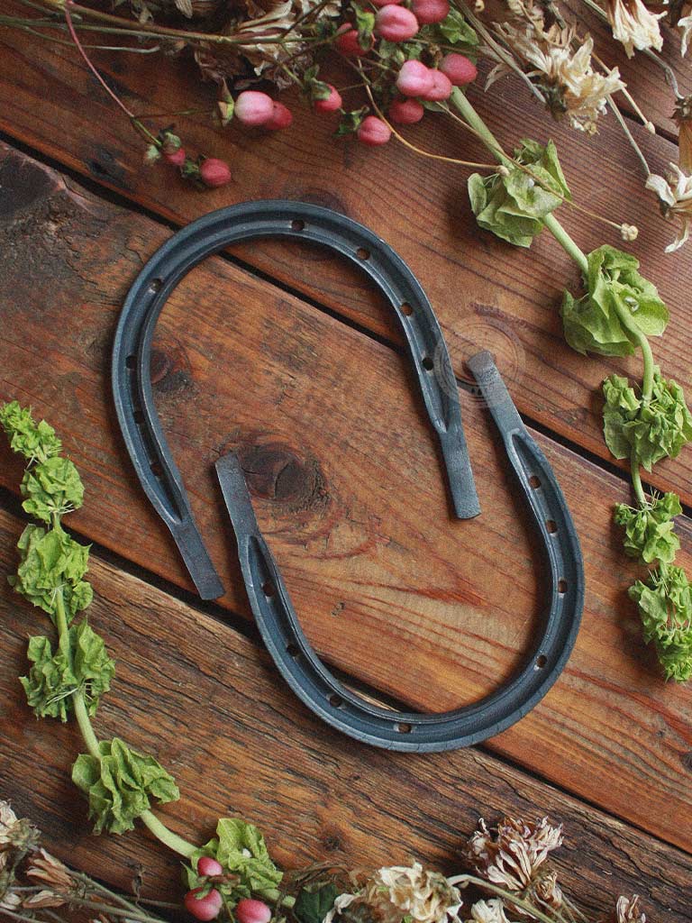 Protection & Luck Iron Horseshoe