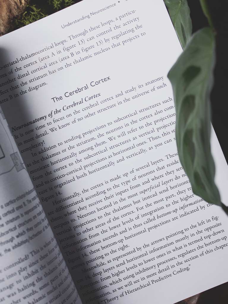 Psychedelics and Mental Health - Neuroscience and the Power of Psychoactives in Therapy