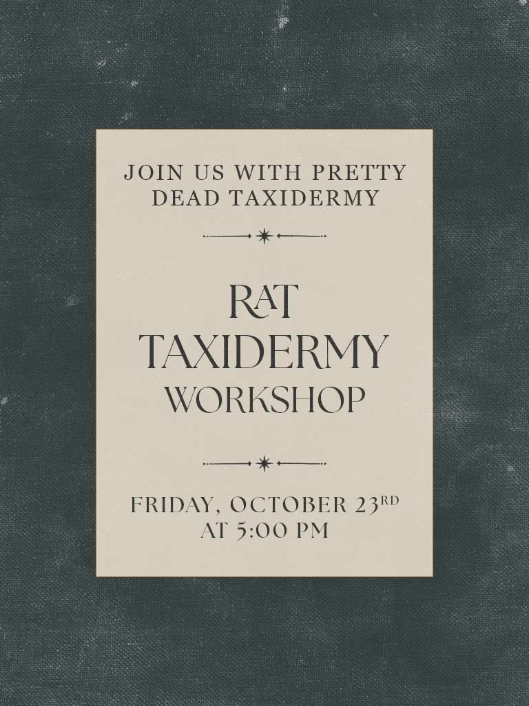 Rat Taxidermy Workshop - Oct 23 2026