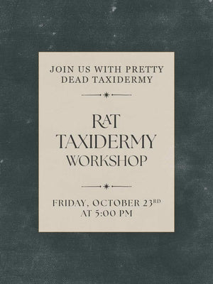Rat Taxidermy Workshop - Oct 23 2026