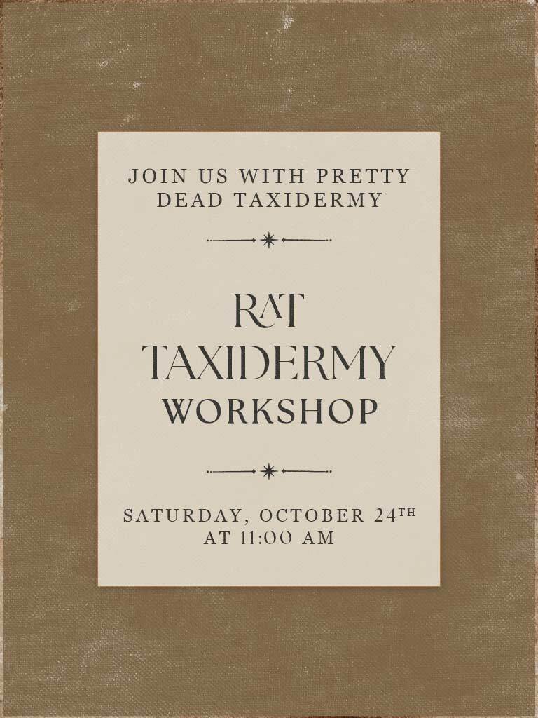 Rat Taxidermy Workshop - Oct 24 2026