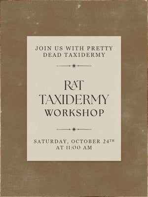 Rat Taxidermy Workshop - Oct 24 2026