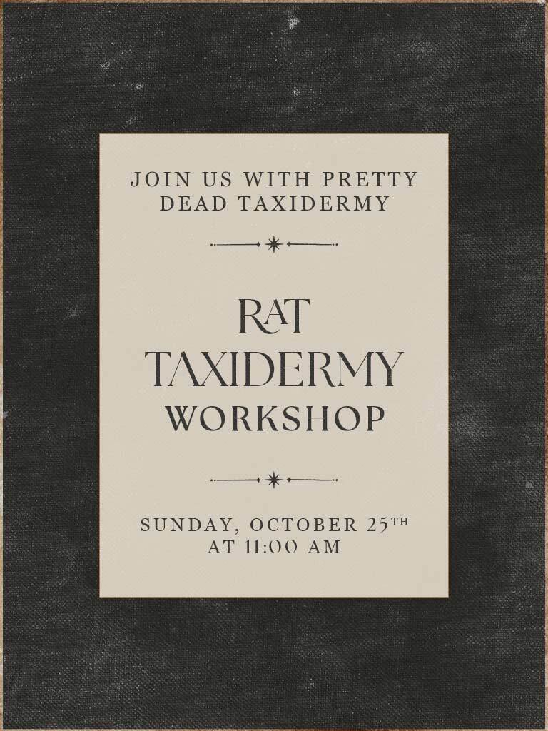 Rat Taxidermy Workshop - Oct 25 2026