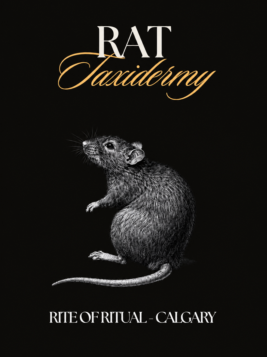 Rat Taxidermy Workshops