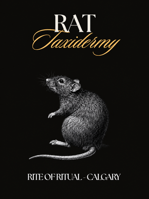 Rat Taxidermy Workshops