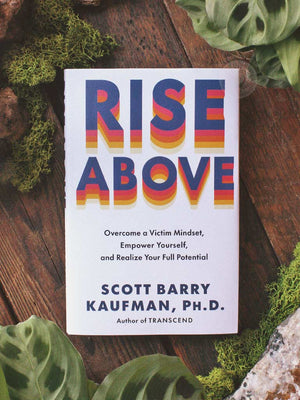 Rise Above - Overcome a Victim Mindset, Empower Yourself, and Realize Your Full Potential