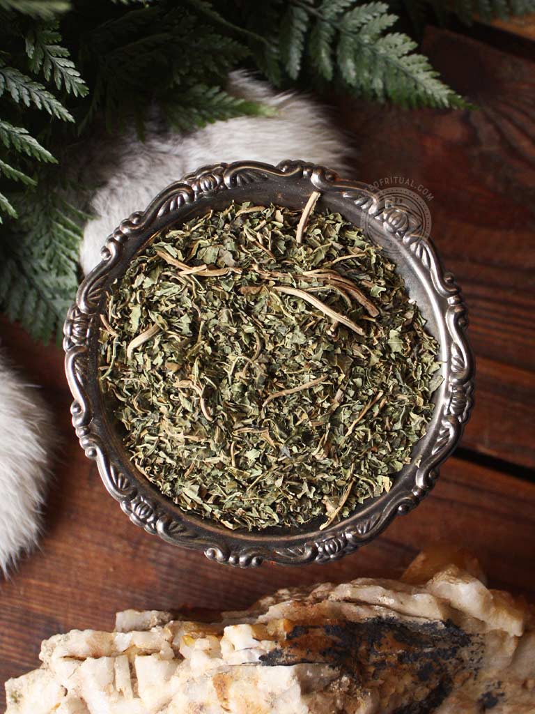 Ritual Herbs - Papaya Leaf