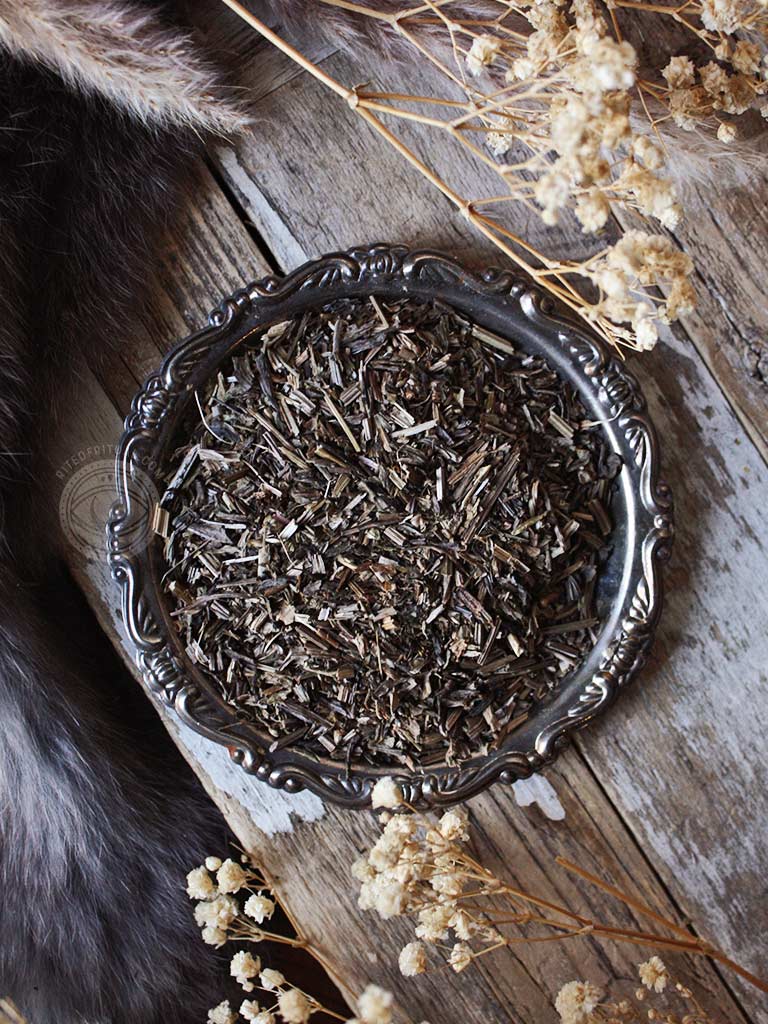 Ritual Herbs - Plantain Leaf