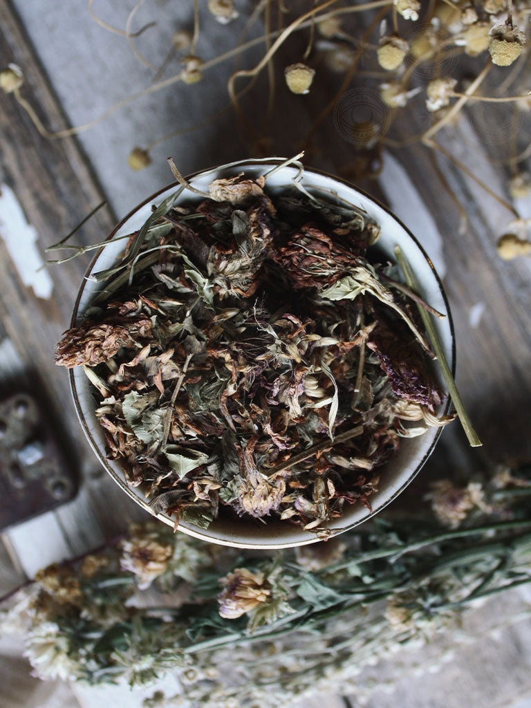 Ritual Herbs - Red Clover