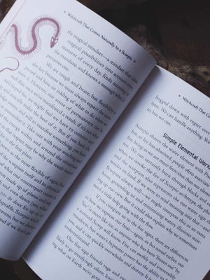 Scorpio Witch - Unlock the Magic of Your Sun Sign