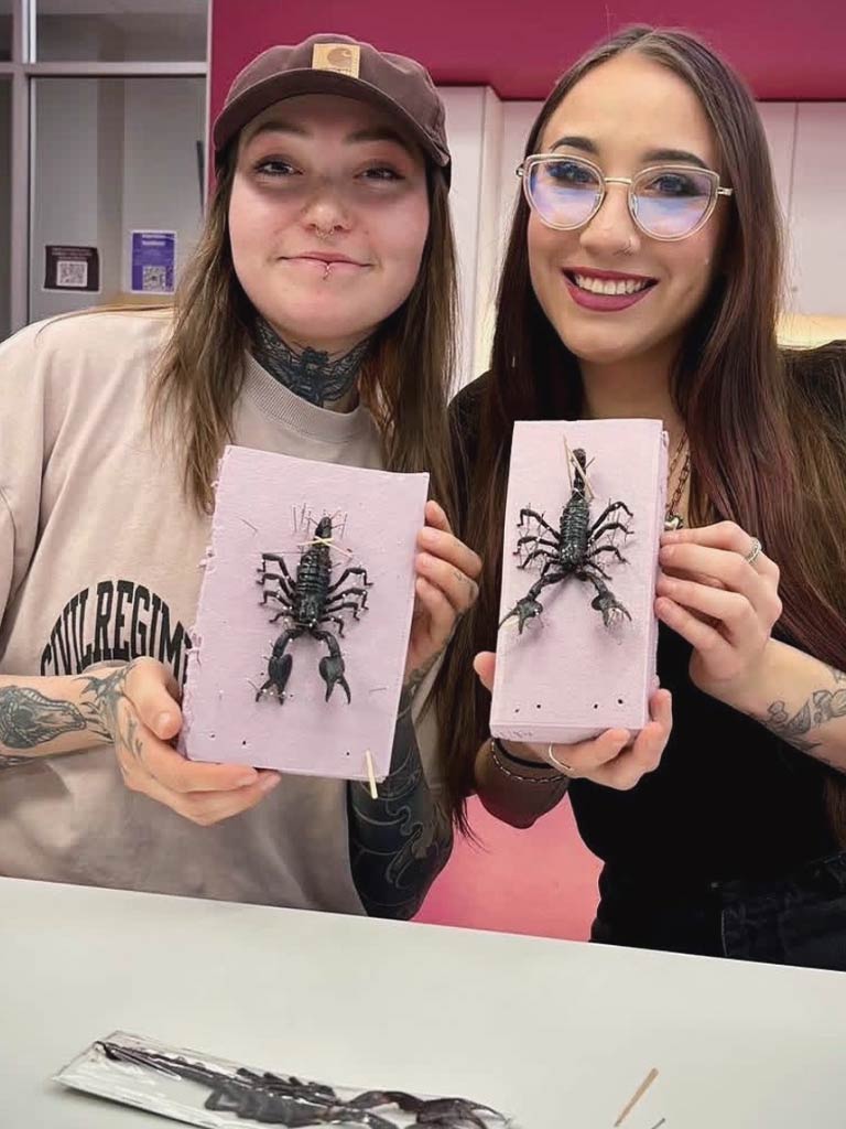 Scorpion Pinning Workshops
