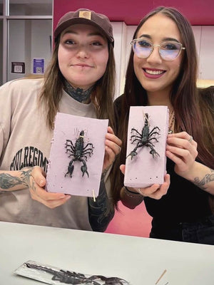 Scorpion Pinning Workshops