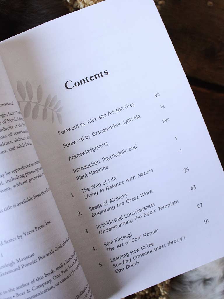 Seeding Consciousness - Plant Medicine, Ancestral Wisdom, and Psychedelic Initiation