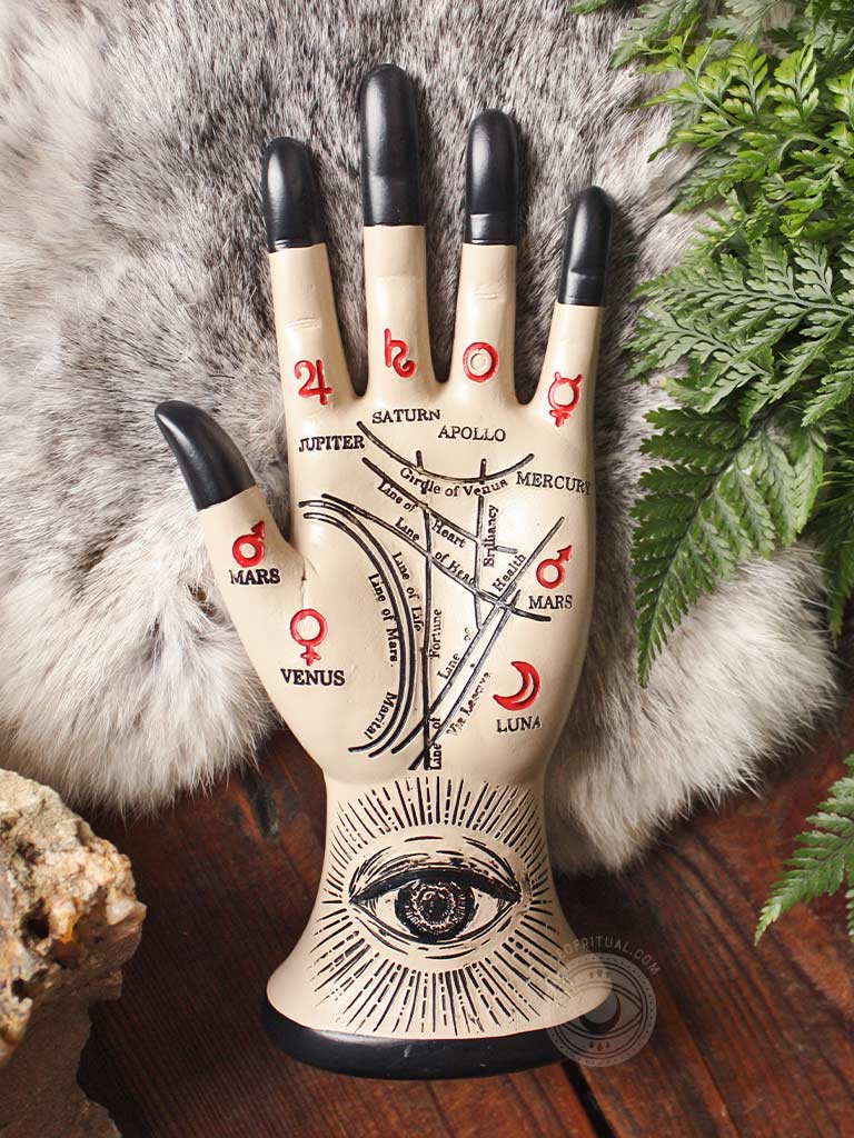 Seeing Eye Palmistry Hand