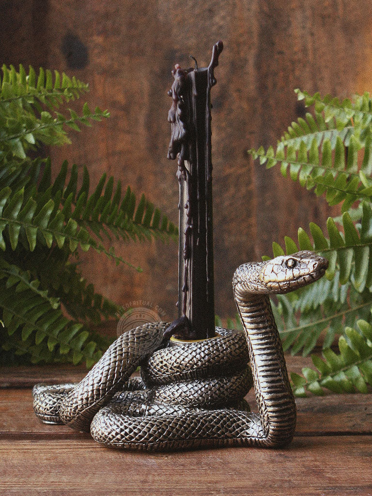 Serpent’s Flame Candle Holder