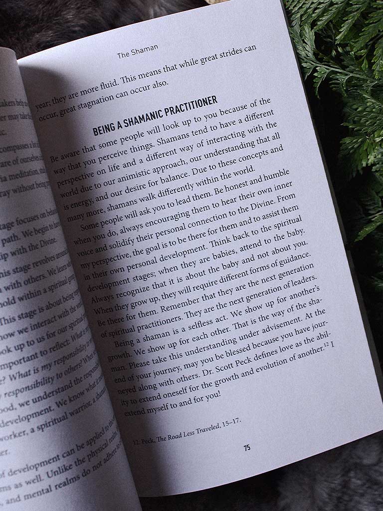 Shamanism and Your Shadow - Using Animal Guides to Explore and Heal Your Inner Self