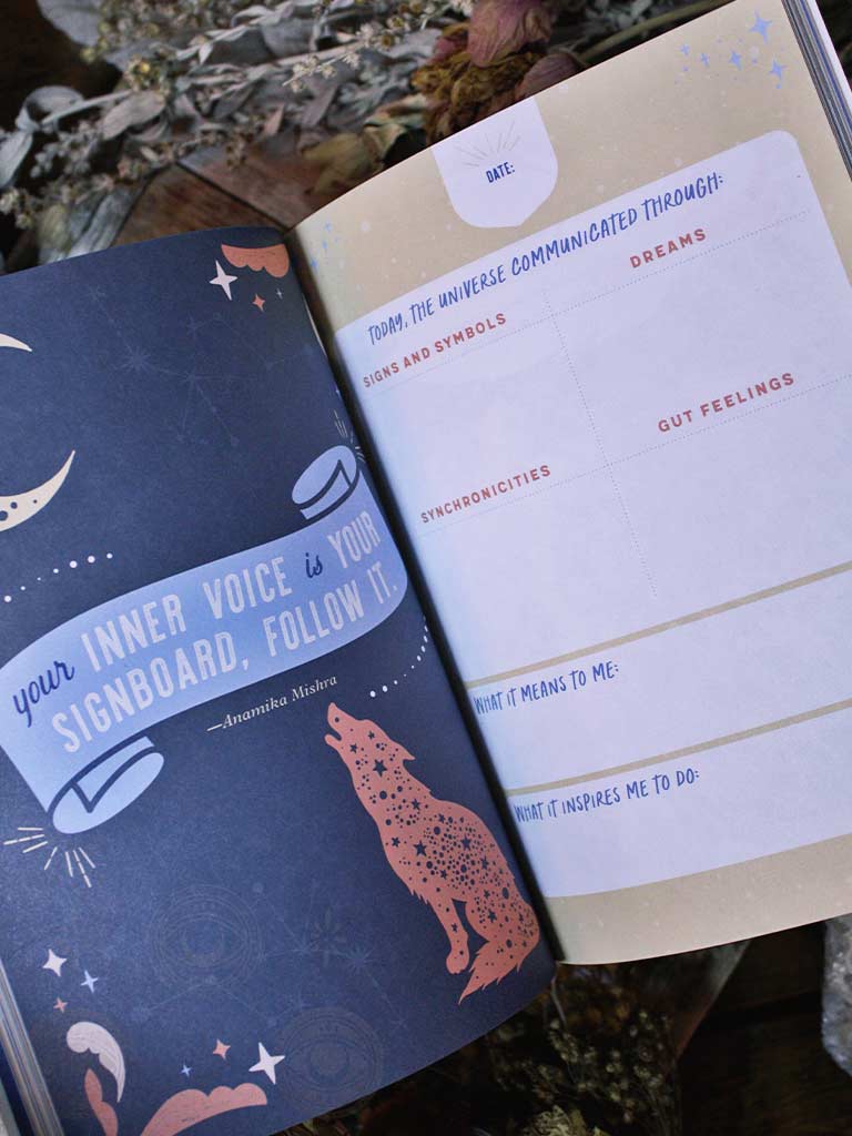 Signs From the Universe