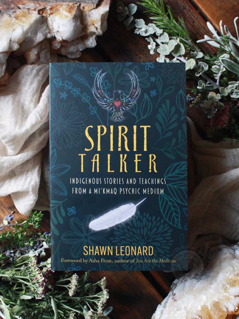 Spirit Talker - Indigenous Stories and Teachings from a Mi'Kmaq Psychic Medium