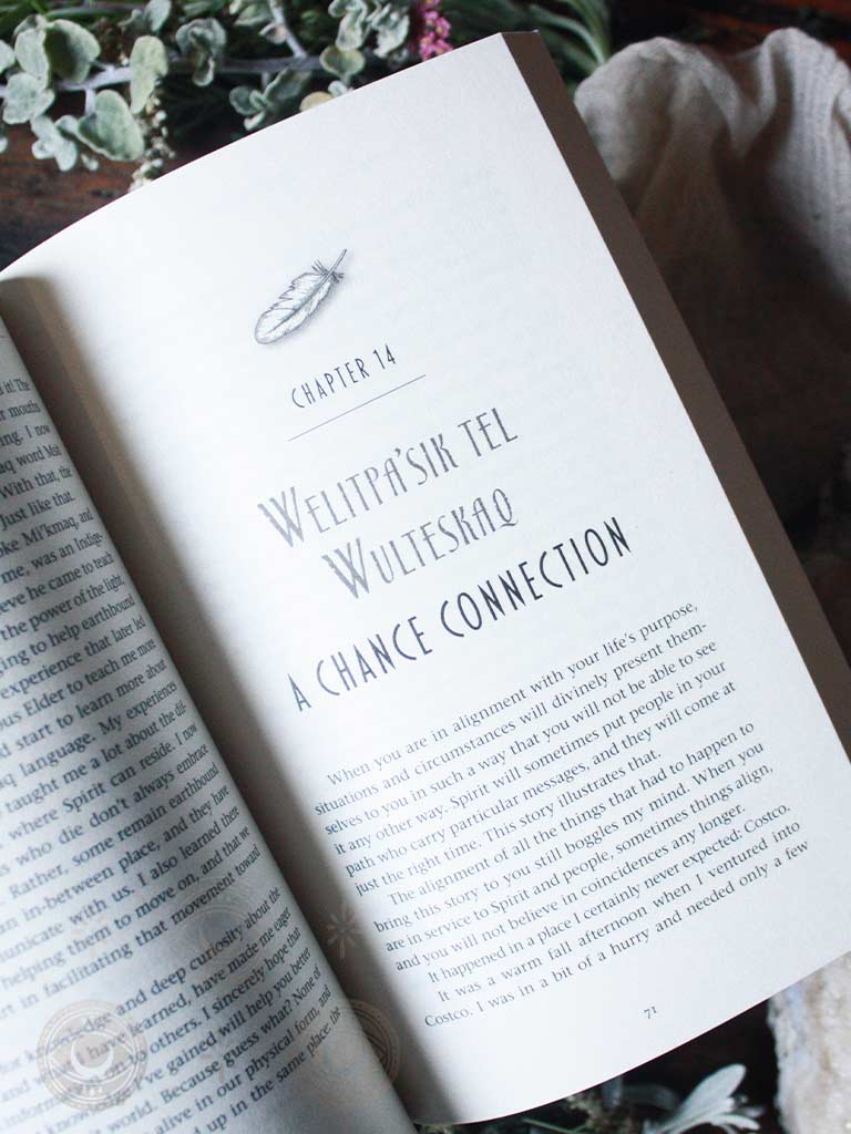 Spirit Talker - Indigenous Stories and Teachings from a Mi'Kmaq Psychic Medium