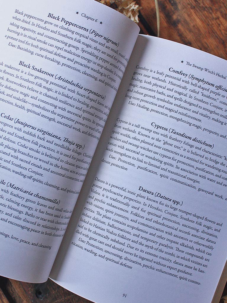 Swamp Sorcery - Folk Magic from America's Southern Wetlands