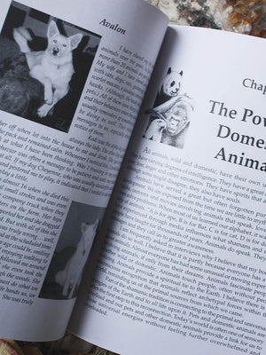 The Animal Speak Workbook