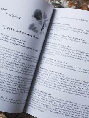 The Animal Speak Workbook