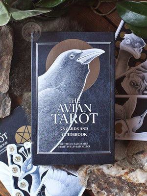 The Avian Tarot