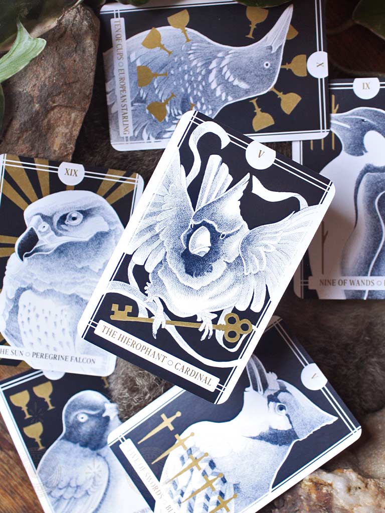 The Avian Tarot