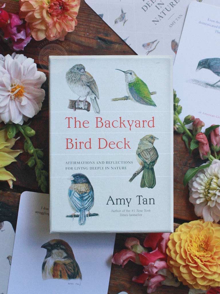 The Backyard Bird Deck